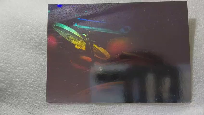 star trek 25th series 1 holo